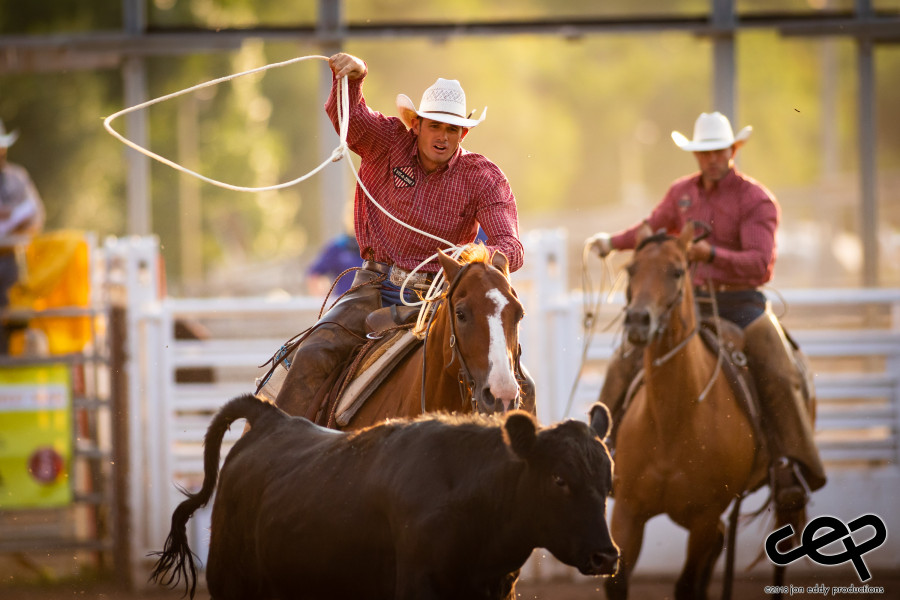 Pikes Peak Or Bust Rodeo Seating Chart