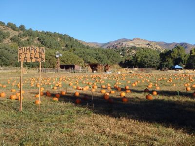 21950892 10155746694158055 3017331229134959609 o Visit Colorado Springs