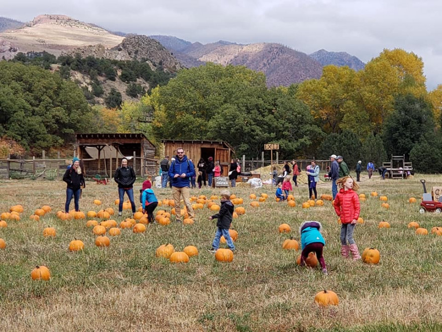 Fall in Colorado Springs Visit Colorado Springs