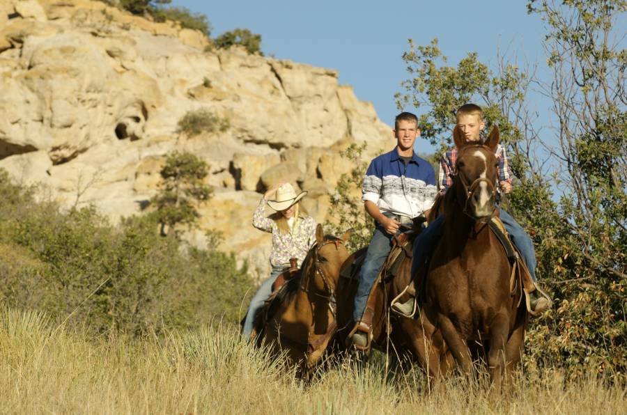 Horseback Riding In Colorado Springs Visit Colorado Springs