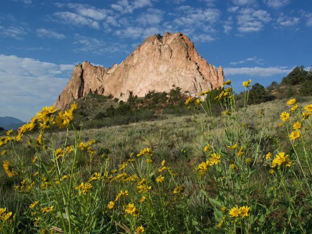 Wildflower Hikes Near Colorado Springs Colorado Visit Colorado