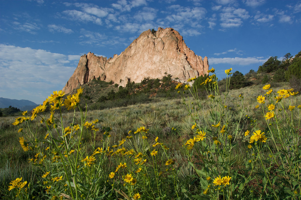 Wildflower Hikes near Colorado Springs, Colorado Visit Colorado