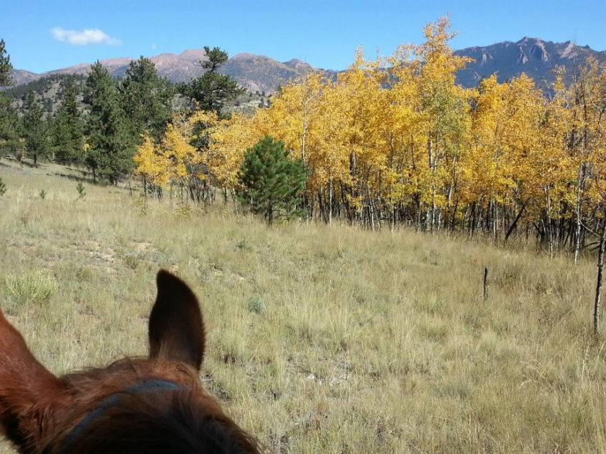 horseback ride to see fall colors in colorado springs