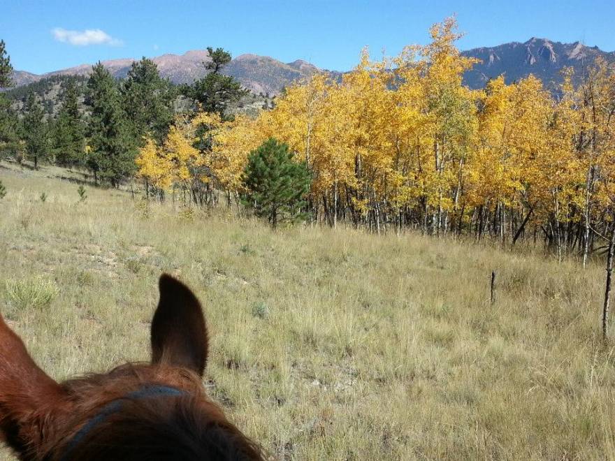 Top 5 Fall Activities In Colorado Springs Visit Colorado Springs