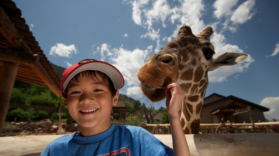 Top 10 Family Fun In Colorado Springs Visit Colorado Springs