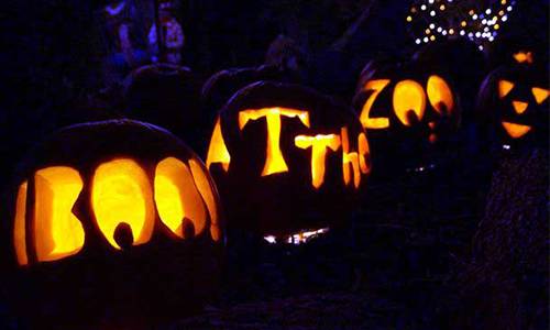 things to do in colorado springs halloween