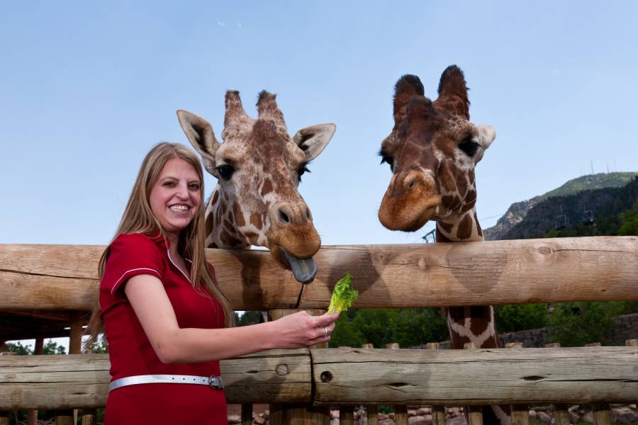 Information on Moving to Colorado Springs