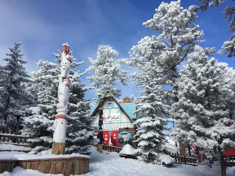 Snap a Perfect Christmas Card at these Scenic Colorado Backdrops